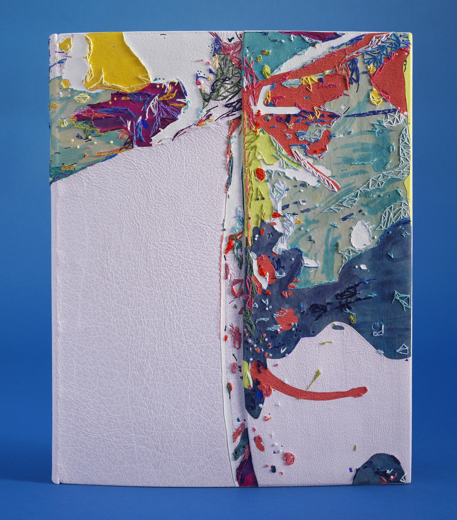 Front cover of Human Canvas binding on a blue table.