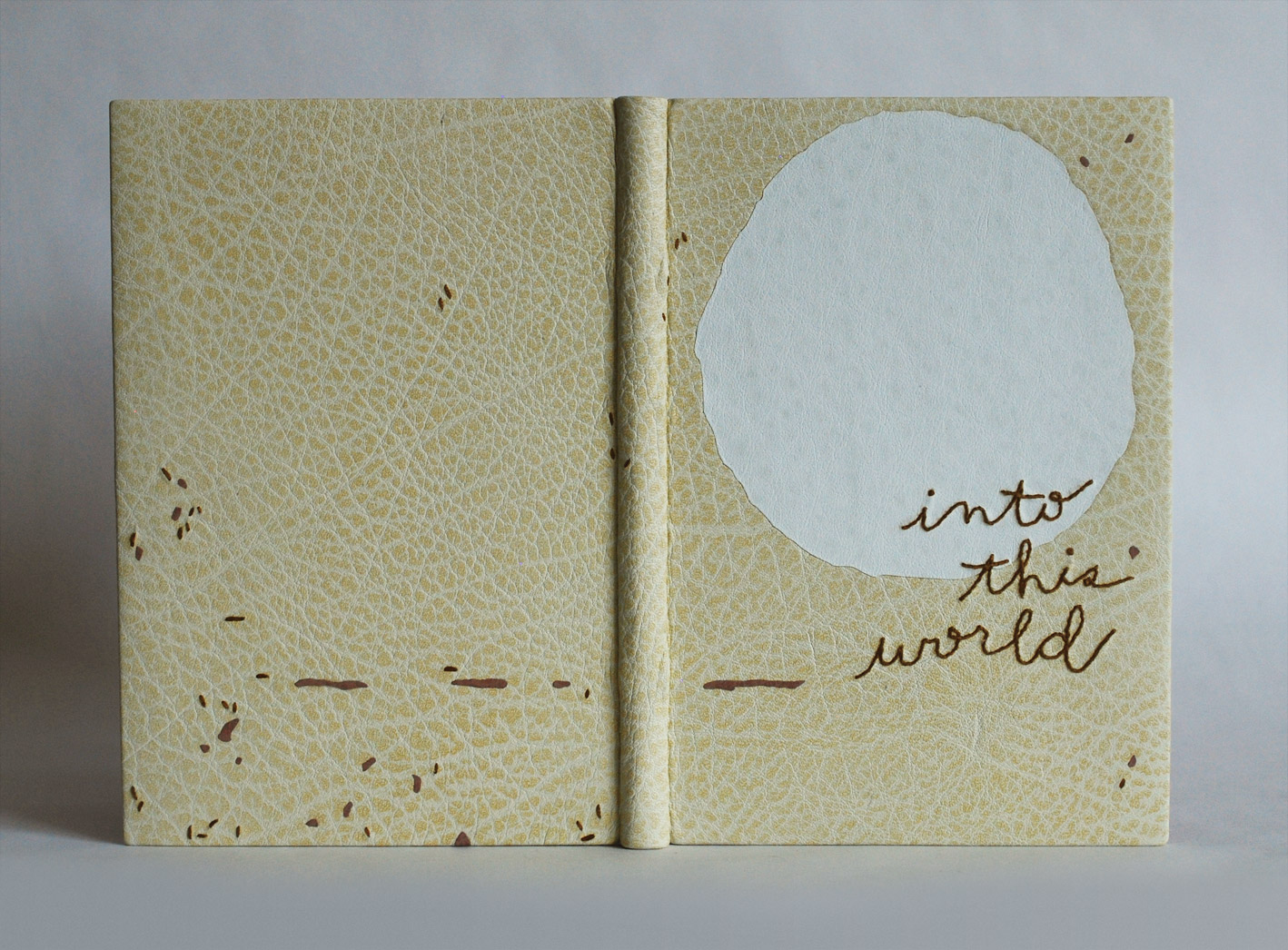 Front cover of Into This World binding on a white table.