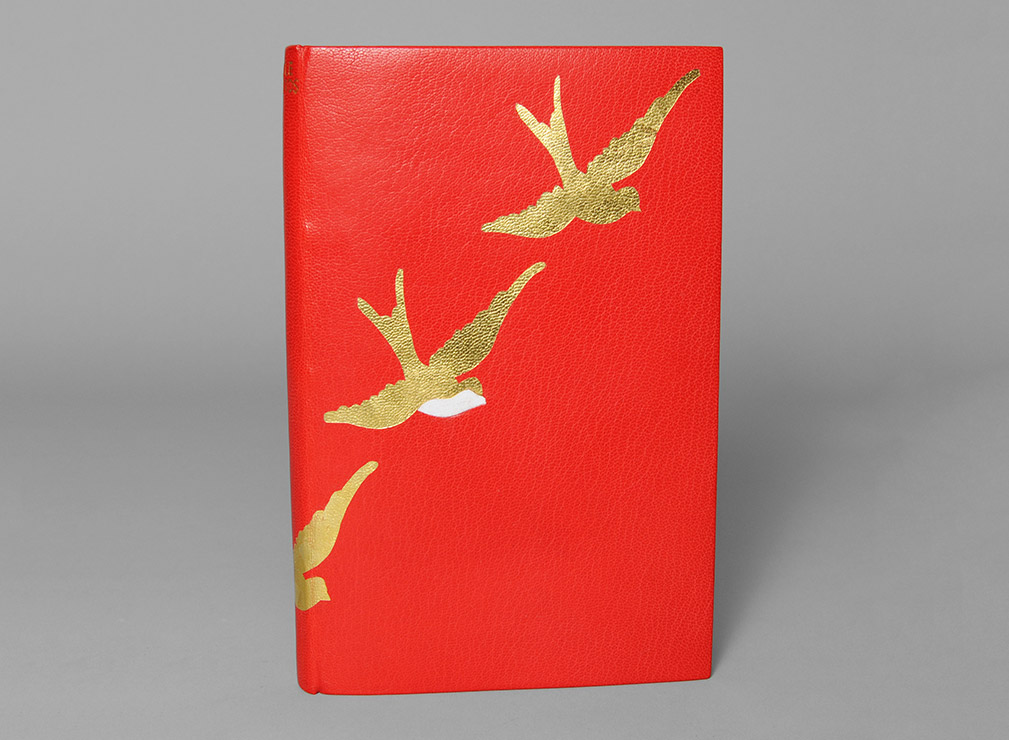 Front cover of Little Birds binding on a white table.