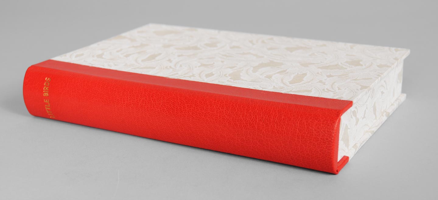 Box spine of Little Birds binding on a white table.