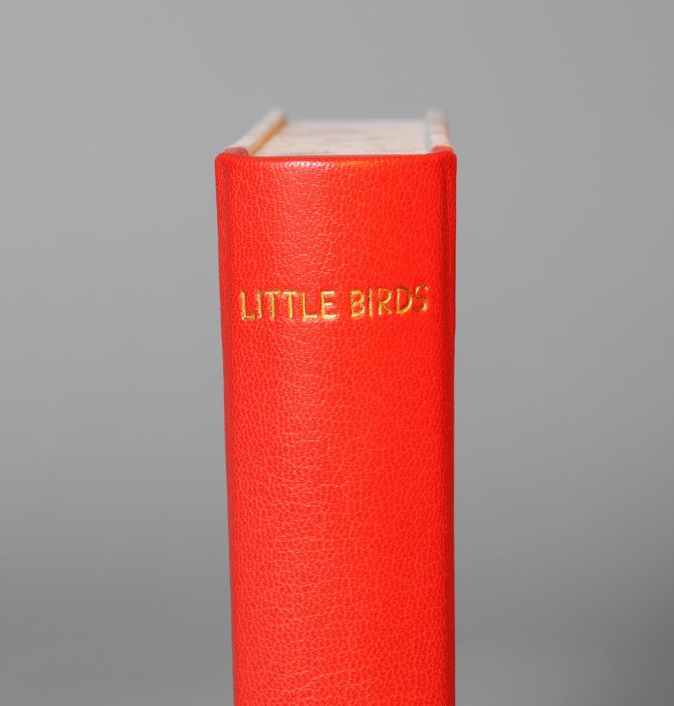 Close-up of box spine of Little Birds binding on a white table.