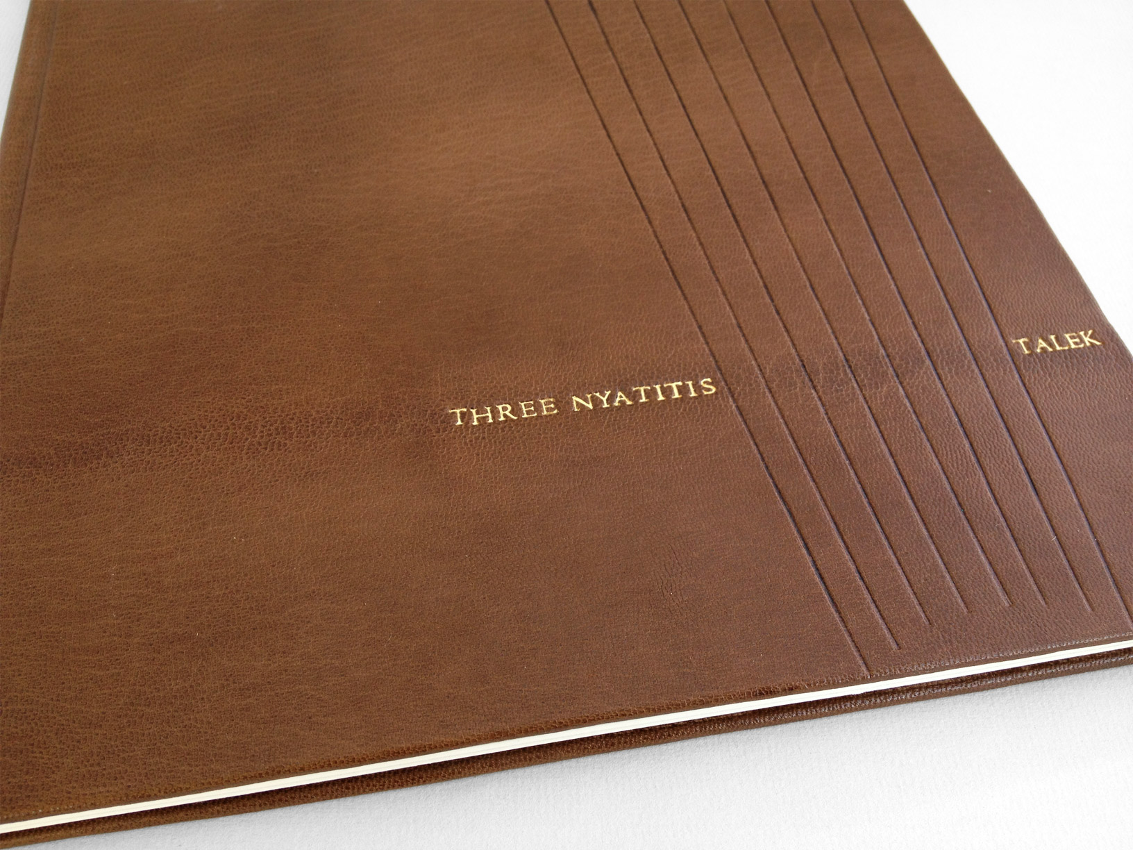 Close-up of front cover of Three Nyatitis And Talek binding on a white table.