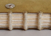 Spine of Owls Illustrated binding.