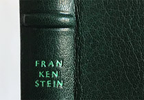 Closeup of front cover of Frankenstein binding.