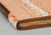 Edge of The Cat in Nature History and Art binding.