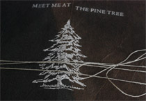 Close-up of front cover of Meet Me at the Pine Tree binding.