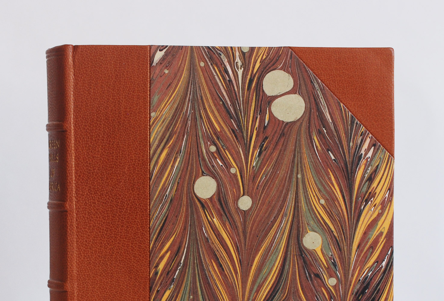 Up-close on the front cover of a Hemingway binding.