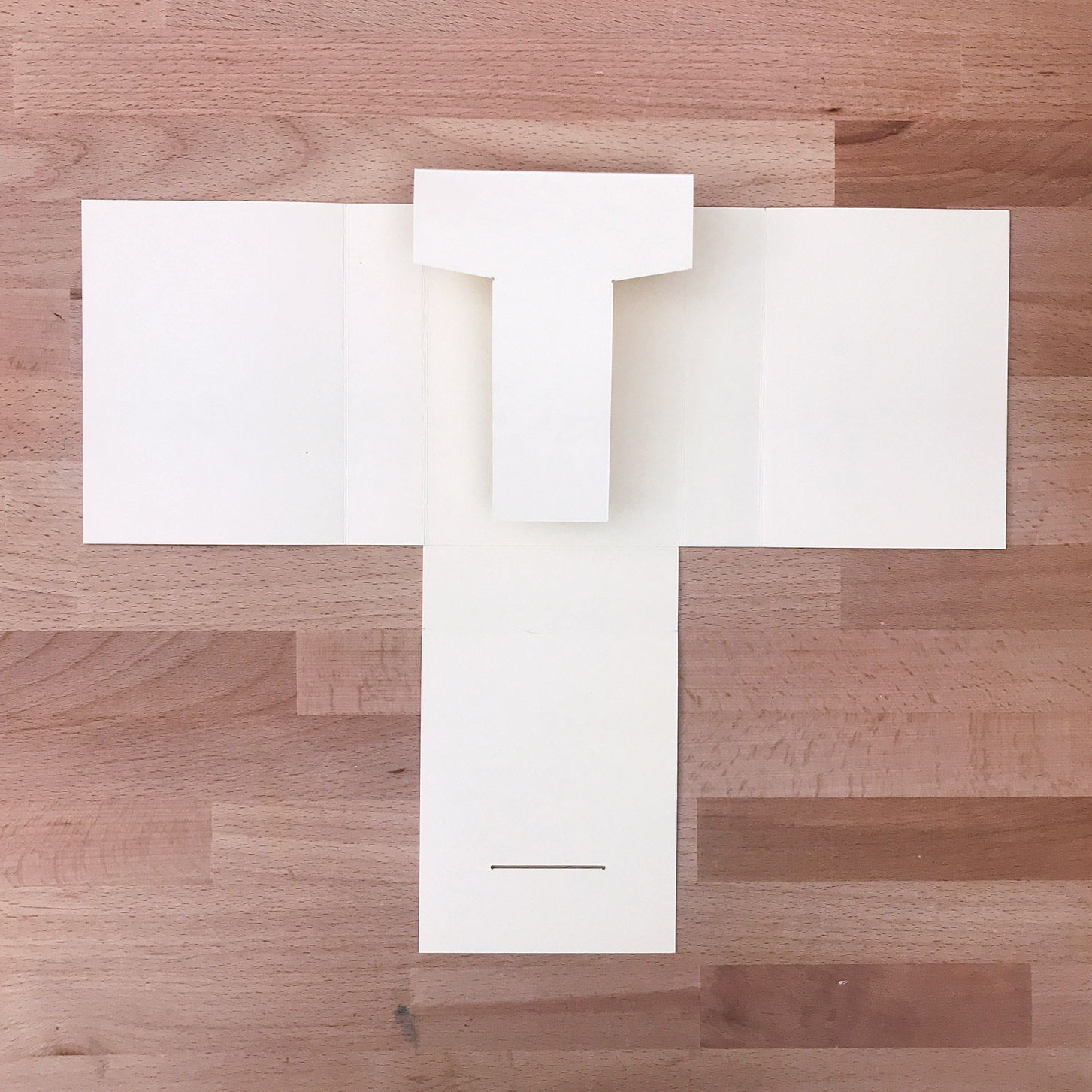 Top view of a white Quick Enclosure sitting on a wooden table.